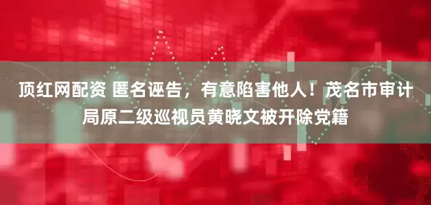 顶红网配资 匿名诬告，有意陷害他人！茂名市审计局原二级巡视员黄晓文被开除党籍