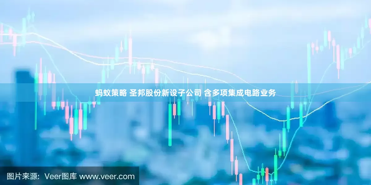 蚂蚁策略 圣邦股份新设子公司 含多项集成电路业务