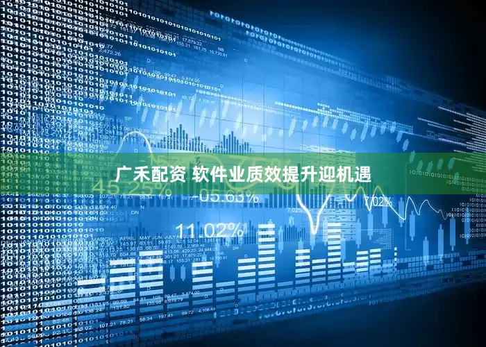 广禾配资 软件业质效提升迎机遇