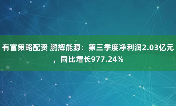 有富策略配资 鹏辉能源：第三季度净利润2.03亿元，同比增长977.24%